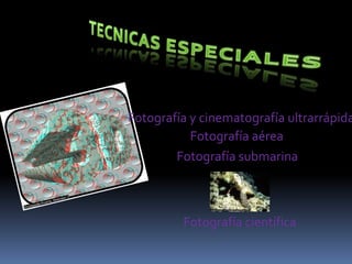 Fotografía y cinematografía ultrarrápida
           Fotografía aérea
        Fotografía submarina



         Fotografía científica
 