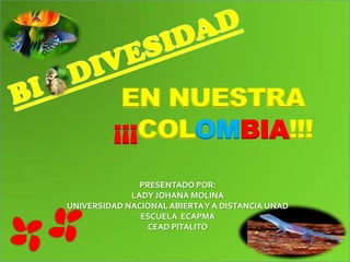 EN NUESTRA
         ¡¡¡COLOMBIA!!!
               PRESENTADO POR:
             LADY JOHANA MOLINA
UNIVERSIDAD NACIONAL ABIERTA Y A DISTANCIA UNAD
               ESCUELA ECAPMA
                 CEAD PITALITO
 