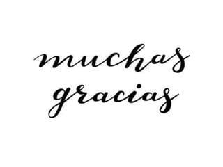 Leidy_Briceño_Documentos_Negociables.pptx