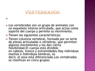 

 Los vertebrados son un grupo de animales con
  un esqueleto interno articulado, que actúa como
  soporte del cuerpo y permite su movimiento.
 Tienen las siguientes características:
 Tienen columna vertebral, formada por un serie
  de piezas articuladas o vértebras, que permiten
  algunos movimientos y les dan cierta
  flexibilidad.El cuerpo está dividido
  en cabeza, tronco y extremidades.Hay individuos
  machos e individuos hembras, es
  decir, el sexo está diferenciado.Los vertebrados
  se clasifican en cinco grupos:
 