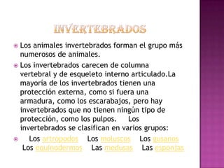  Los animales invertebrados forman el grupo más
  numerosos de animales.
 Los invertebrados carecen de columna
  vertebral y de esqueleto interno articulado.La
  mayoría de los invertebrados tienen una
  protección externa, como si fuera una
  armadura, como los escarabajos, pero hay
  invertebrados que no tienen ningún tipo de
  protección, como los pulpos.     Los
  invertebrados se clasifican en varios grupos:
    Los artrópodos Los moluscos Los gusanos
   Los equinodermos Las medusas Las esponjas
 