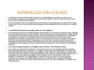    Los delfines eran los animales más cazados en la antigüedad para extraer el aceite que se
    encontraba en pequeñas cantidades en una zona de su cabeza, y que se usaba como lubricante
    para ciertos mecanismos de relojería.
   En la actualidad se han encontrado fuentes alternativas y más baratas para la obtención de estos
    aceites, por lo que la caza de delfines ha desaparecido protegiendo así los animales en su estado
    salvaje.


   La mordedura del monstruo de gila puede ser muy peligrosa
   Los monstruos de Gila son animales salvajes que muerden a su víctima y se aferran a ella, rodando
    sobre la espalda para que el veneno fluya al interior de la herida y masticando para infligir heridas
    aún mayores. El veneno que estos animales usan principalmente para defenderse, es segregado
    por glándulas situadas en la mandíbula inferior y fluye al exterior a través de unos surcos
    presentes en los dientes, atacando los centros nerviosos que controlan el corazón; la mordedura
    de este animal salvaje puede ser peligrosa para el ser humano. Los monstruos de Gila comen
    pequeños animales como roedores, hormigas y huevos de otros reptiles salvajes del desierto. En
    cautividad han mostrado gran afición por los huevos de serpiente y de otras especies de lagartos
    salvajes.
   Los varanos emparentados con un lagarto que vivió hace 136 millones de años
   Los varanos son animales salvajes que se encuentran entre los más antiguos lagartos vivientes.
    Están emparentados con el mosasaurio, un lagarto marino que vivió desde hace 136 millones de
    años hasta hace 65 millones de años, que llegaba a medir hasta 10 m de longitud. El varano más
    conocido y de mayor tamaño, el dragón de Komodo, este animal en estado salvaje alcanza los 3 m
    de longitud y es una especie protegida. Estos animales viven en varias islas, como la de
    Komodo, en Indonesia. Es un depredador y carroñero feroz que lleva en la boca bacterias
    virulentas, por lo que su mordisco puede ser fatal. Los varanos viven en áreas tropicales y
    desérticas de toda África; en Asia, desde Arabia hasta el sur de China y Malaysia, y también en el
    sureste de Asia.
 