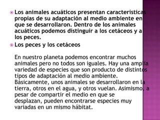  Los animales acuáticos presentan características
  propias de su adaptación al medio ambiente en
  que se desarrollaron. Dentro de los animales
  acuáticos podemos distinguir a los cetáceos y a
  los peces.
 Los peces y los cetáceos

 En nuestro planeta podemos encontrar muchos
 animales pero no todos son iguales. Hay una amplia
 variedad de especies que son producto de distintos
 tipos de adaptación al medio ambiente.
 Básicamente, unos animales se desarrollaron en la
 tierra, otros en el agua, y otros vuelan. Asimismo, a
 pesar de compartir el medio en que se
 desplazan, pueden encontrarse especies muy
 variadas en un mismo hábitat.
 