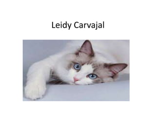 Leidy Carvajal
 
