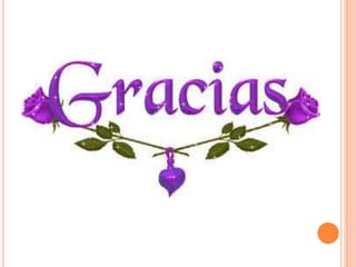 Leidy ipia laura plazas