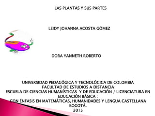 UNIVERSIDAD PEDAGÓGICA Y TECNOLÓGICA DE COLOMBIA
FACULTAD DE ESTUDIOS A DISTANCIA
ESCUELA DE CIENCIAS HUMANÍSTICAS Y DE EDUCACIÓN / LICENCIATURA EN
EDUCACIÓN BÁSICA :
CON ÉNFASIS EN MATEMÁTICAS, HUMANIDADES Y LENGUA CASTELLANA
BOGOTÁ.
2015
LAS PLANTAS Y SUS PARTES
LEIDY JOHANNA ACOSTA GÓMEZ
DORA YANNETH ROBERTO
 