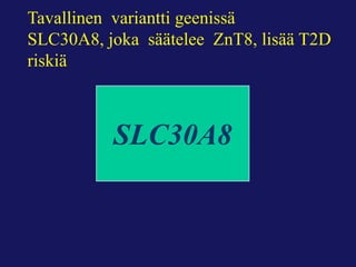 Tällä kertaa valittiin kontrolleiksi
vanhoja ja ylipainoisia ihmisiä
joilla oli kaikki T2D riskitekijät,
potilaat taas olivat sairastuneet
varhain.
Yllätykseksemme emme löytäneet
uusia riskivariantteja potilailla
mutta suojaava variantti
kontrolleilla. Tämä variantti
huonontaa sinkkitransportterin
toimintaa (stop codon R138* in
the SLC30A8 gene)
Flannick J et al. Nat Genet, 2014.
Sekvensoimme T2D-geenejä löytääksemme
harvinaisia variantteja, jotka lisäisivät T2D:n riskiä
 