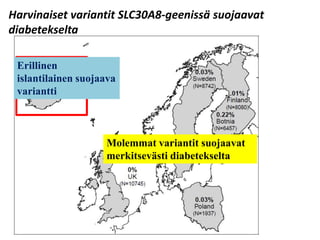 Pitäisikö etsiä pikemmin suoja- kuin riskigeenejä?
Very rare Rare Low frequency Common5%0.1% 0.5%
Allele frequency
Effect size
Rare variants
of high effect
Low frequency
variants of
moderate effect
Common
variants of
modest effect
McCarthy
Low
Intermediate
Modest
High
6.0
1.1
2.0
3.0
RAF 54%
 