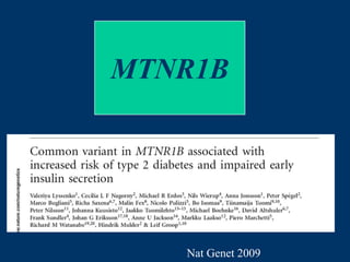 MTNR1B geenin riskikantajilla on lisääntynyt määrä
reseptoria haiman saarekesoluissa. Melatoniini huontaa
insuliinin eritystä
A B
2.8 16.7 16.7 + 0.1 µM Mel.
0
5
10
15
20
25
30
35
40
45
*
Insulinng/mgprotein/h
Lyssenko V et al. Nat Genet 41; 82-88,2008
 