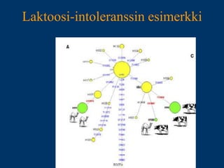Laktooosi-intoleranssin
esimerkki
 