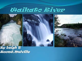 Waikato River  By Leigh T Room8,Melville 