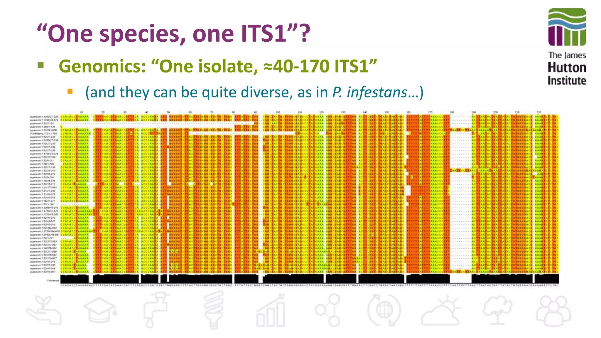 “One species, one ITS1”?
 Genomics: “One isolate, ≈40-170 ITS1”
 (and they can be quite diverse, as in P. infestans…)
 
