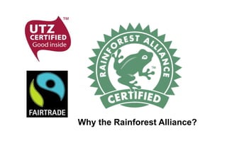 pg tips sustainability