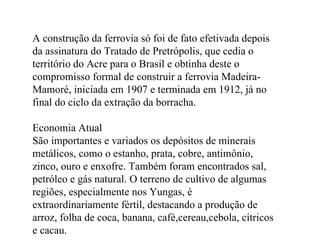 A construção da ferrovia só foi de fato efetivada depois da assinatura do Tratado de Pretrópolis, que cedia o território do Acre para o Brasil e obtinha deste o compromisso formal de construir a ferrovia Madeira-Mamoré, iniciada em 1907 e terminada em 1912, já no final do ciclo da extração da borracha. Economia Atual São importantes e variados os depósitos de minerais metálicos, como o estanho, prata, cobre, antimônio, zinco, ouro e enxofre. Também foram encontrados sal, petróleo e gás natural. O terreno de cultivo de algumas regiões, especialmente nos Yungas, é extraordinariamente fértil, destacando a produção de arroz, folha de coca, banana, café,cereau,cebola, cítricos e cacau. 