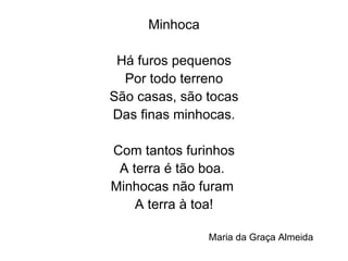 Minhoca Há furos pequenos Por todo terreno São casas, são tocas Das finas minhocas. Com tantos furinhos A terra é tão boa.  Minhocas não furam  A terra à toa! Maria da Graça Almeida 