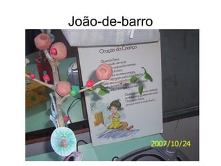 João-de-barro 