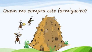 Quem me compra este formigueiro?
 