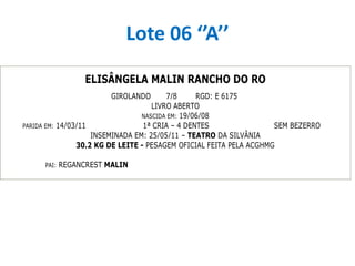 Lote 06 ‘’A’’