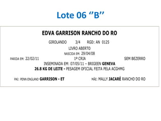 Lote 06 ‘’B’’