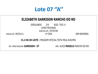Lote 07 ‘’A’’