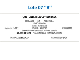 Lote 07 ‘’B’’