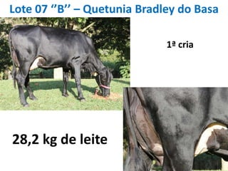 Lote 07 ‘’B’’ – QuetuniaBradley do Basa1ª cria28,2 kg de leite