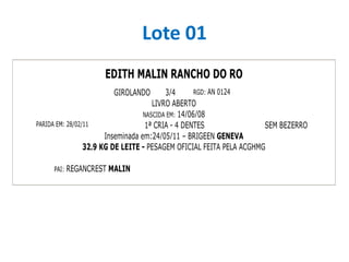 Lote 01