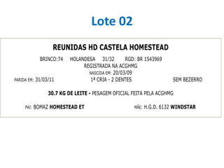 Lote 02