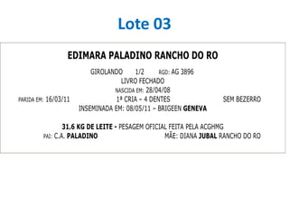 Lote 03