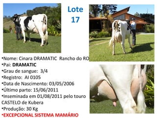 Lote 17 Nome: Cinara DRAMATIC  Rancho do RO Pai:  DRAMATIC Grau de sangue:  3/4 Registro:  AI 0105 Data de Nascimento: 03/05/2006 Último parto: 15/06/2011 Inseminada em 01/08/2011 pelo touro CASTELO de Kubera Produção: 30 Kg EXCEPCIONAL SISTEMA MAMÁRIO 