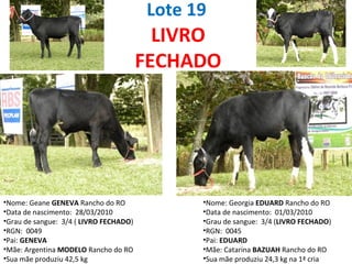 Lote 19 Nome: Geane  GENEVA  Rancho do RO Data de nascimento:  28/03/2010 Grau de sangue:  3/4 (  LIVRO FECHADO ) RGN:  0049 Pai:  GENEVA Mãe: Argentina  MODELO  Rancho do RO Sua mãe produziu 42,5 kg  Nome: Georgia  EDUARD  Rancho do RO Data de nascimento:  01/03/2010 Grau de sangue:  3/4 ( LIVRO FECHADO ) RGN:  0045 Pai:  EDUARD Mãe: Catarina  BAZUAH  Rancho do RO Sua mãe produziu 24,3 kg na 1ª cria LIVRO FECHADO 