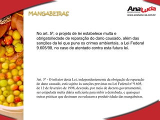 No art. 5º, o projeto de lei estabelece multa e obrigatoriedade de reparação do dano causado, além das sanções da lei que pune os crimes ambientais, a Lei Federal 9.605/98, no caso de atentado contra esta futura lei. Art. 5º - O infrator desta Lei, independentemente da obrigação de reparação do dano causado, está sujeito às sanções previstas na Lei Federal nº 9.605, de 12 de fevereiro de 1998, devendo, por meio de decreto governamental, ser estipulada multa diária suficiente para inibir a derrubada, e quaisquer outras práticas que destruam ou reduzam a produtividade das mangabeiras. 