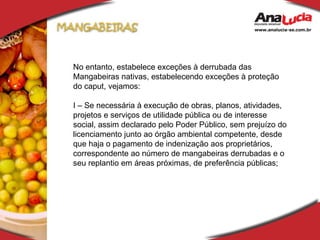 No entanto, estabelece exceções à derrubada das Mangabeiras nativas, estabelecendo exceções à proteção do caput, vejamos: I – Se necessária à execução de obras, planos, atividades, projetos e serviços de utilidade pública ou de interesse social, assim declarado pelo Poder Público, sem prejuízo do licenciamento junto ao órgão ambiental competente, desde que haja o pagamento de indenização aos proprietários, correspondente ao número de mangabeiras derrubadas e o seu replantio em áreas próximas, de preferência públicas; 