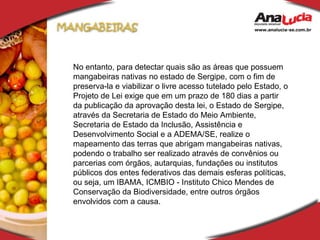 No entanto, para detectar quais são as áreas que possuem mangabeiras nativas no estado de Sergipe, com o fim de preserva-la e viabilizar o livre acesso tutelado pelo Estado, o Projeto de Lei exige que em um prazo de 180 dias a partir da publicação da aprovação desta lei, o Estado de Sergipe, através da Secretaria de Estado do Meio Ambiente, Secretaria de Estado da Inclusão, Assistência e Desenvolvimento Social e a ADEMA/SE, realize o mapeamento das terras que abrigam mangabeiras nativas, podendo o trabalho ser realizado através de convênios ou parcerias com órgãos, autarquias, fundações ou institutos públicos dos entes federativos das demais esferas políticas, ou seja, um IBAMA, ICMBIO - Instituto Chico Mendes de Conservação da Biodiversidade, entre outros órgãos envolvidos com a causa. 