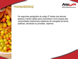 Os seguintes parágrafos do artigo 2º tratam dos demais passos a serem dados para concretizar o livre acesso das comunidades tradicionais catadoras de mangaba às terras públicas, devolutas ou privadas, vejamos:  