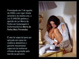 Promulgada em 7 de agosto de 2006 e em vigor desde setembro do mesmo ano, a Lei 11.340/06 ganhou o apelido de Lei Maria da Penha em homenagem à biofarmacêutica  Maria da Penha Maia Fernandes.  É uma lei especial para ser aplicada em casos de violência doméstica e garante mecanismos especiais às mulheres vítimas de agressão pelo marido ou parceiro. 