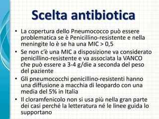 Scelta antibiotica
• La copertura dello Pneumococco può essere
problematica se è Penicillino-resistente e nella
meningite lo è se ha una MIC > 0,5
• Se non c’è una MIC a disposizione va considerato
penicillino-resistente e va associata la VANCO
che può essere a 3-4 g/die a seconda del peso
del paziente
• Gli pneumococchi penicillino-resistenti hanno
una diffusione a macchia di leopardo con una
media del 5% in Italia
• Il cloramfenicolo non si usa più nella gran parte
dei casi perché la letteratura né le linee guida lo
supportano
 