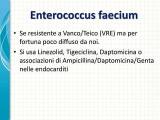 Enterococcus faecium
• Se resistente a Vanco/Teico (VRE) ma per
fortuna poco diffuso da noi.
• Si usa Linezolid, Tigeciclina, Daptomicina o
associazioni di Ampicillina/Daptomicina/Genta
nelle endocarditi
 