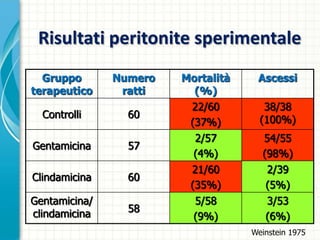 Risultati peritonite sperimentale
Gruppo
terapeutico
Numero
ratti
Mortalità
(%)
Ascessi
Controlli 60
22/60
(37%)
38/38
(100%)
Gentamicina 57
2/57
(4%)
54/55
(98%)
Clindamicina 60
21/60
(35%)
2/39
(5%)
Gentamicina/
clindamicina 58
5/58
(9%)
3/53
(6%)
Weinstein 1975
 