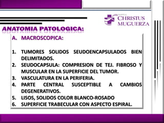 A. MACROSCOPICA:

1. TUMORES SOLIDOS SEUDOENCAPSULADOS BIEN
   DELIMITADOS.
2. SEUDOCAPSULA: COMPRESION DE TEJ. FIBROSO Y
   MUSCULAR EN LA SUPERFICIE DEL TUMOR.
3. VASCULATURA EN LA PERIFERIA.
4. PARTE CENTRAL SUSCEPTIBLE A CAMBIOS
   DEGENERATIVOS.
5. LISOS, SOLIDOS COLOR BLANCO-ROSADO
6. SUPERFICIE TRABECULAR CON ASPECTO ESPIRAL.
 
