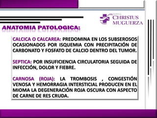CALCICA O CALCAREA: PREDOMINA EN LOS SUBSEROSOS
OCASIONADOS POR ISQUEMIA CON PRECIPITACIÓN DE
CARBONATO Y FOSFATO DE CALCIO DENTRO DEL TUMOR.

SEPTICA: POR INSUFICIENCIA CIRCULATORIA SEGUIDA DE
INFECCIÓN, DOLOR Y FIEBRE.

CARNOSA (ROJA): LA TROMBOSIS , CONGESTIÓN
VENOSA Y HEMORRAGIA INTERSTICIAL PRODUCEN EN EL
MIOMA LA DEGENERACIÓN ROJA OSCURA CON ASPECTO
DE CARNE DE RES CRUDA.
 
