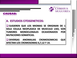 A. ESTUDIOS CITOGENETICOS:
 SUGIEREN QUE LOS MIOMAS SE ORIGINAN DE 1
SOLA CELULA NEOPLASICA DE MUSCULO LISO, SON
TUMORES MONOCLONALES OCASIONADOS POR
MUTACIONES SOMATICAS.
 DIVERSAS ANOMALIAS CROMOSOMICAS      QUE
AFECTAN LOS CROMOSOMAS 6,7,12 Y 14.
 
