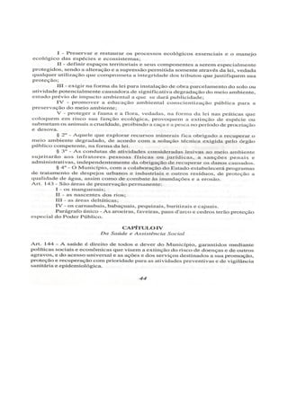 Lei orgânica do município de arraial