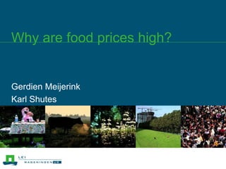 GerdienMeijerink Karl Shutes Why are food prices high? 