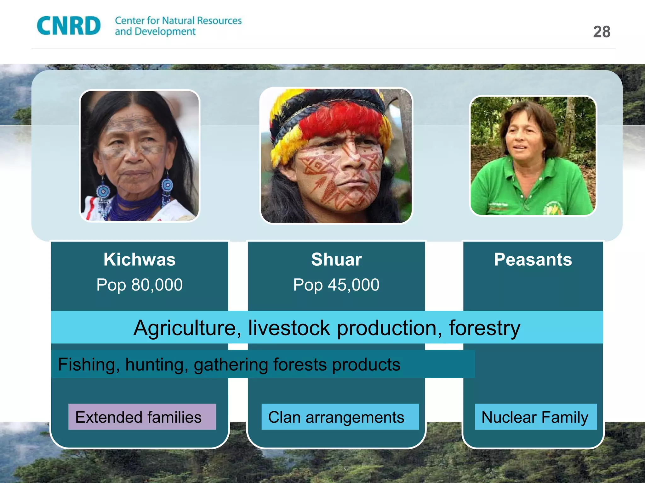 28




     Kichwas                    Shuar           Peasants
    Pop 80,000                Pop 45,000

         Agriculture, livestock production, forestry
Fishing, hunting, gathering forests products

  Extended families       Clan arrangements    Nuclear Family
 