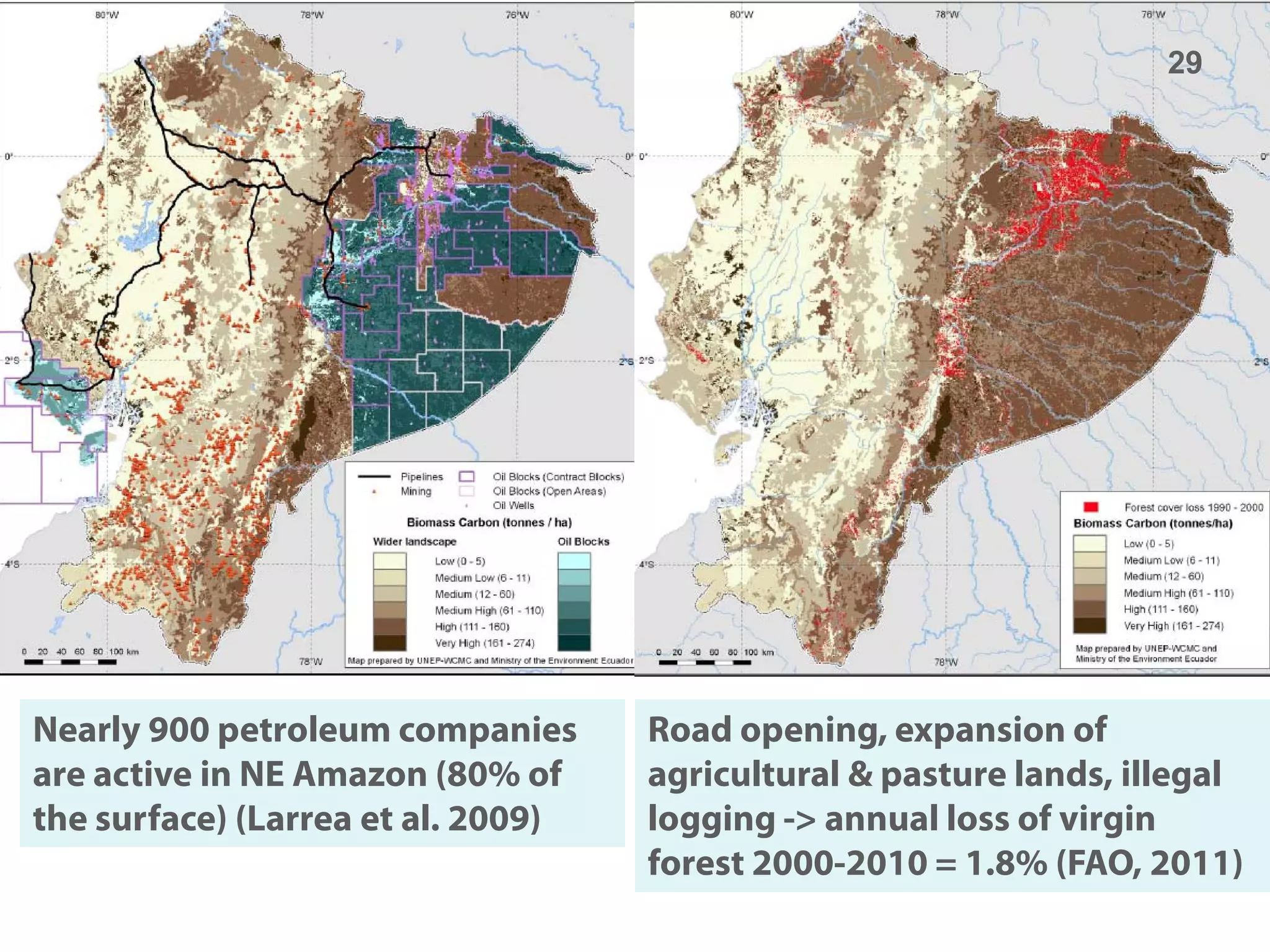 29




Nearly 900 petroleum companies      Road opening, expansion of
are active in NE Amazon (80% of     agricultural & pasture lands, illegal
the surface) (Larrea et al. 2009)   logging -> annual loss of virgin
                                    forest 2000-2010 = 1.8% (FAO, 2011)
 