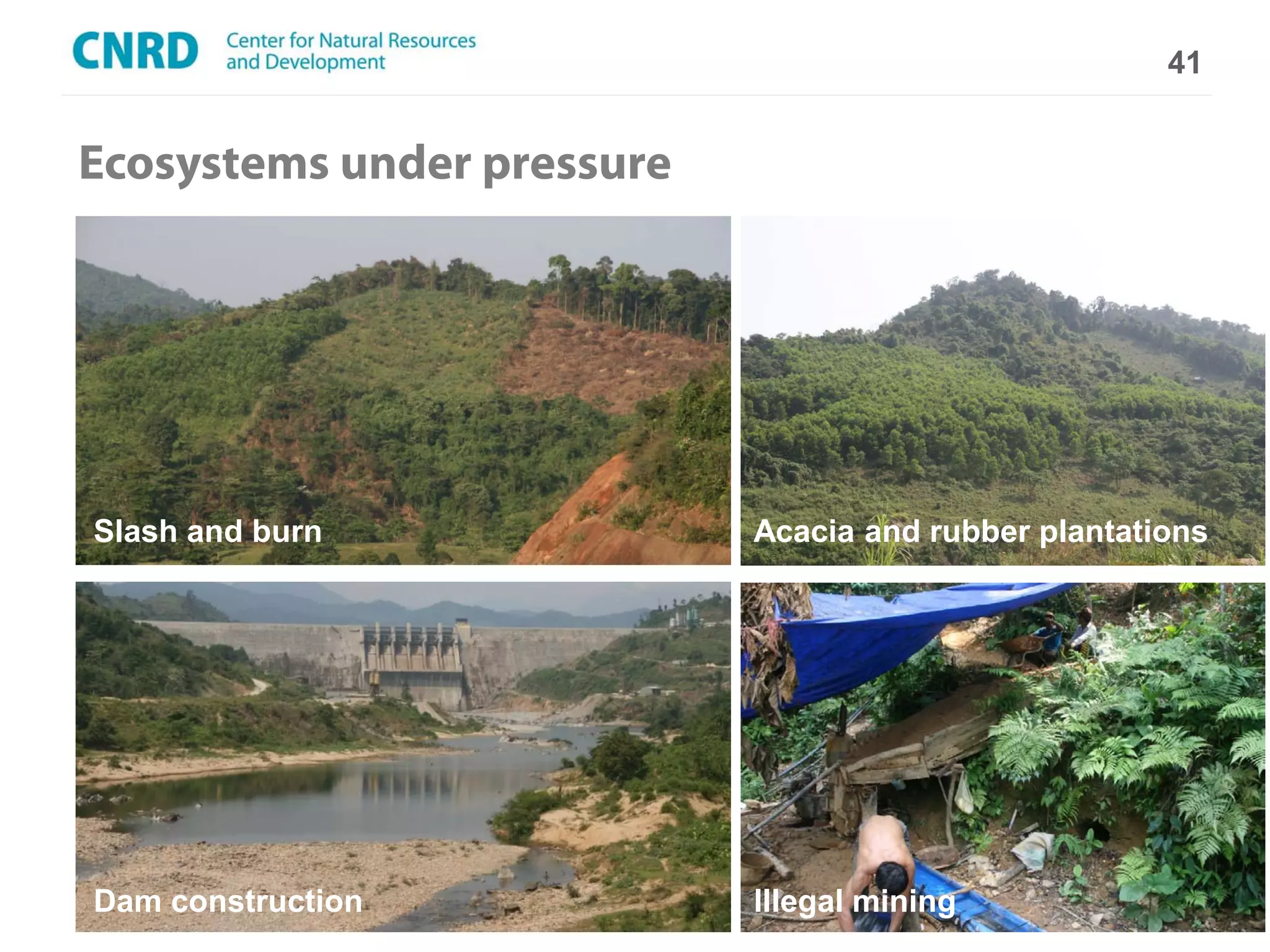 41


Ecosystems under pressure




Slash and burn                 Acacia and rubber plantations




                   Climate Change Scenarios
Dam construction               Illegal mining
 