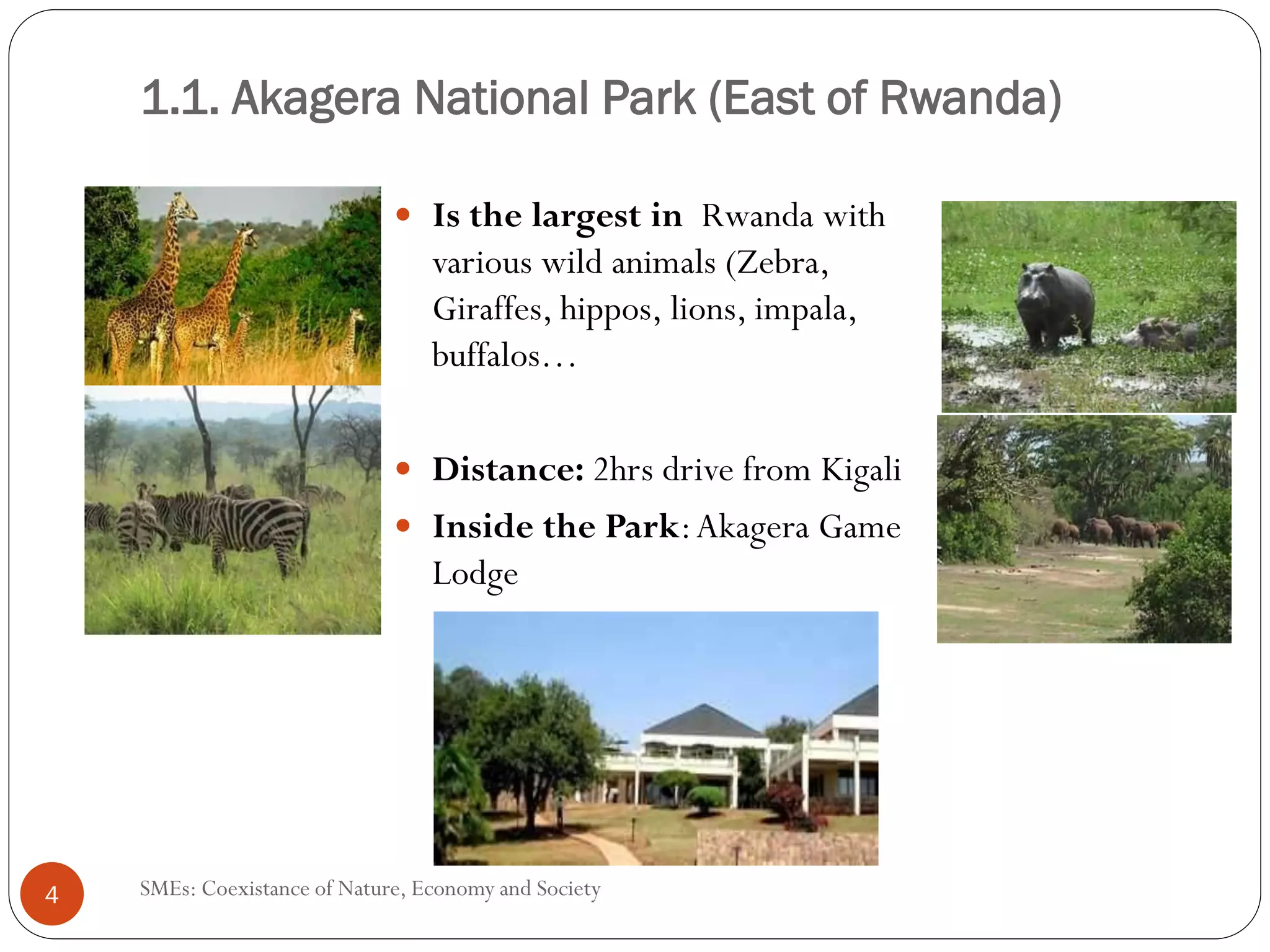 1.1. Akagera National Park (East of Rwanda)

                                  Is the largest in Rwanda with
                                  various wild animals (Zebra,
                                  Giraffes, hippos, lions, impala,



                                  Distance: 2hrs drive from Kigali
                                  Inside the Park: Akagera Game
                                  Lodge




4   SMEs: Coexistance of Nature, Economy and Society
 