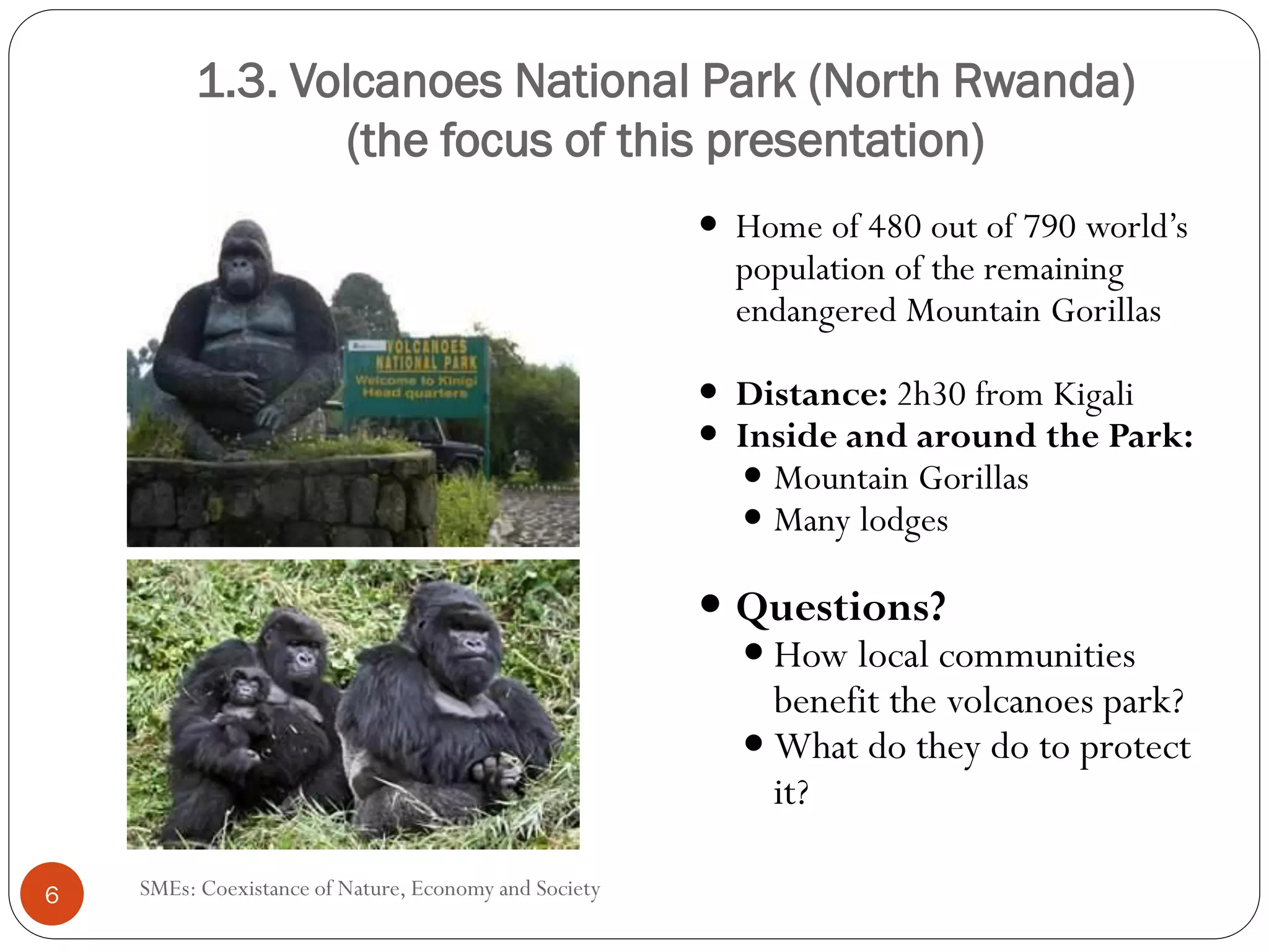 1.3. Volcanoes National Park (North Rwanda)
                (the focus of this presentation)
                                                       Home
                                                       population of the remaining
                                                       endangered Mountain Gorillas

                                                       Distance: 2h30 from Kigali
                                                       Inside and around the Park:
                                                         Mountain Gorillas
                                                         Many lodges

                                                       Questions?
                                                         How local communities
                                                         benefit the volcanoes park?
                                                         What do they do to protect
                                                         it?

6   SMEs: Coexistance of Nature, Economy and Society
 