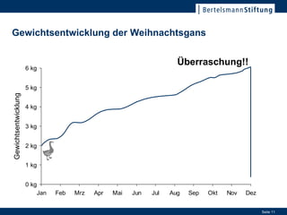 Gewichtsentwicklung der Weihnachtsgans Gewichtsentwicklung Überraschung!! 